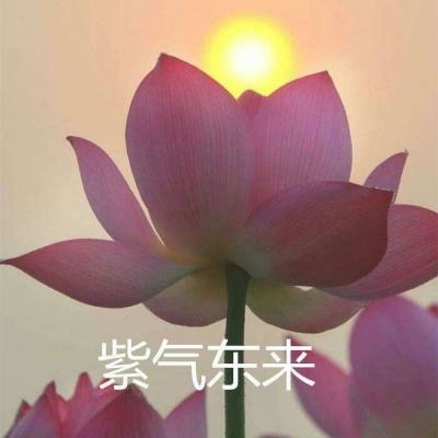 我的萌将时代破解版下载